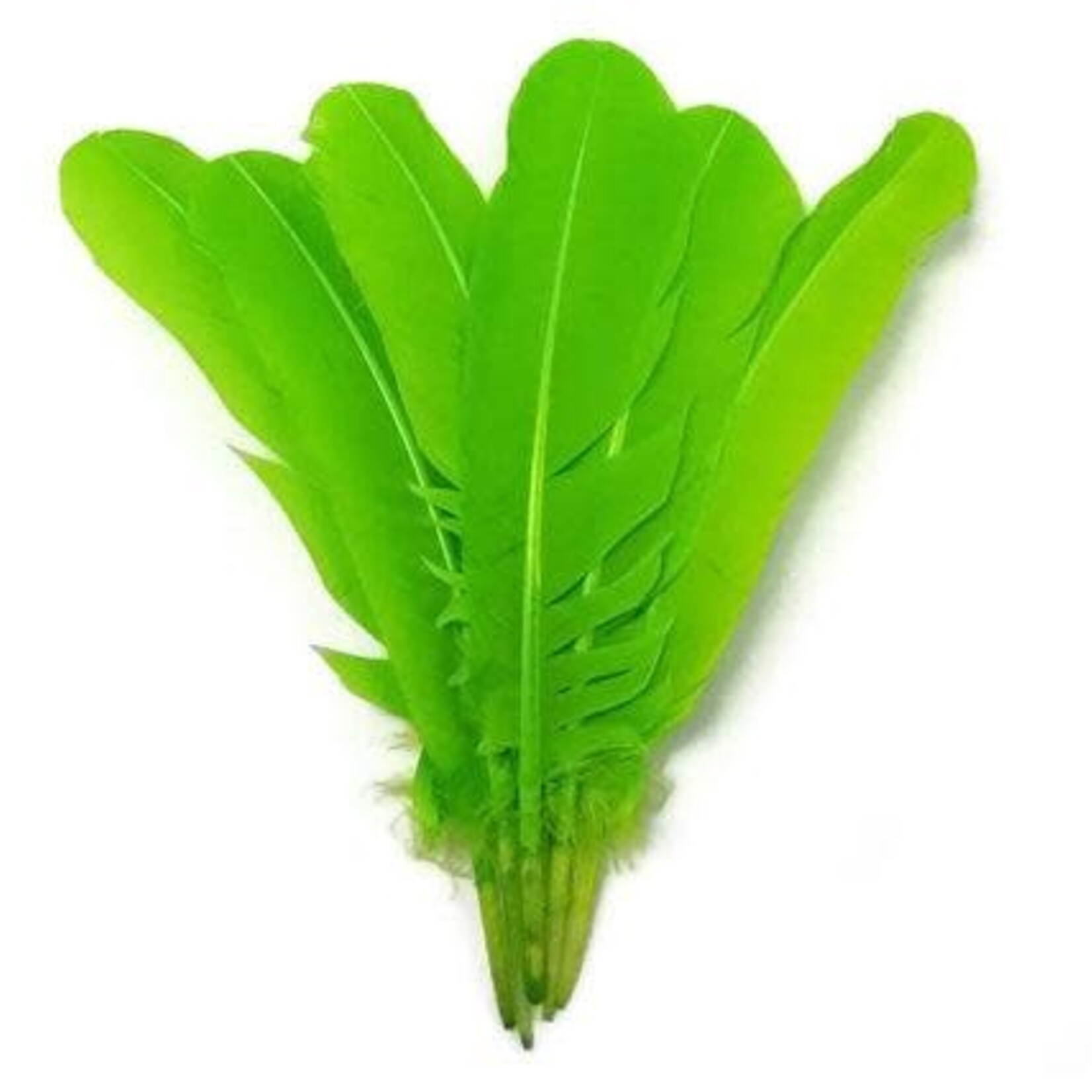 Turkey Quills 12-14 Inch 0.25 lb  Lime Green