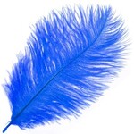 O.D Plumes 6-8 Inch (100 grams) Royal Blue