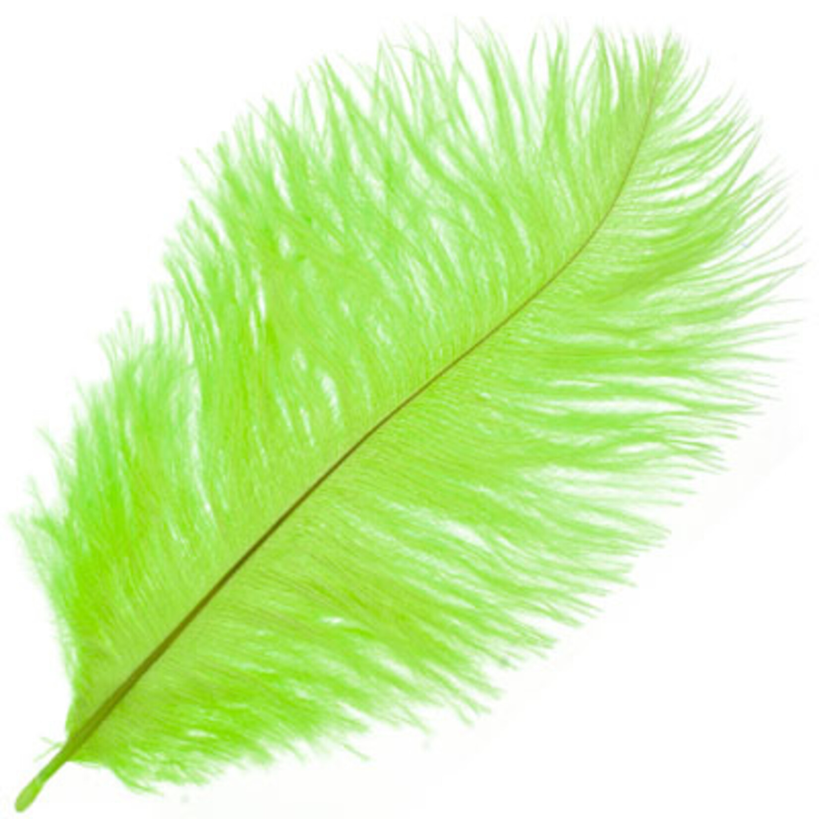 O.D Plumes 6-8 Inch (100 grams) Lime Green