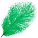 O.D Plumes 6-8 Inch (100 grams) Emerald Green
