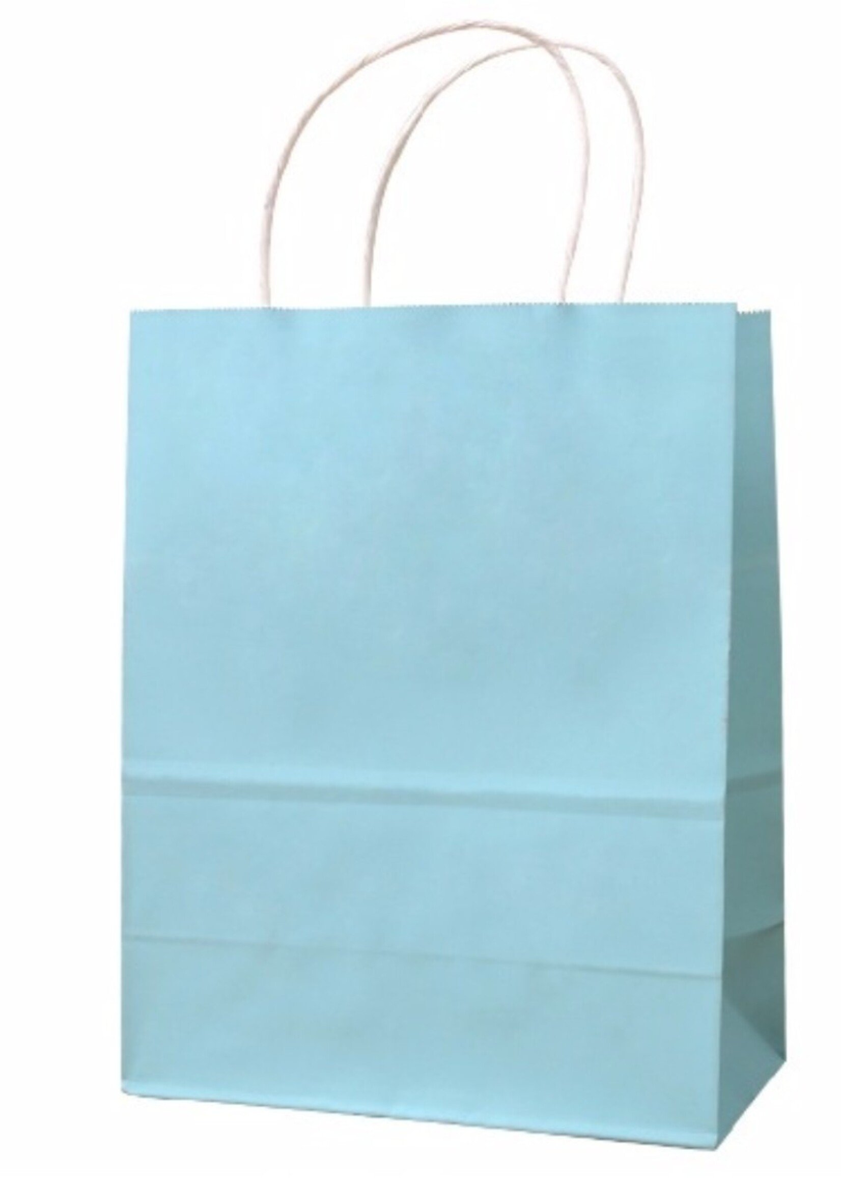Kraft Favor Bags 6CT (6.5inx9in)