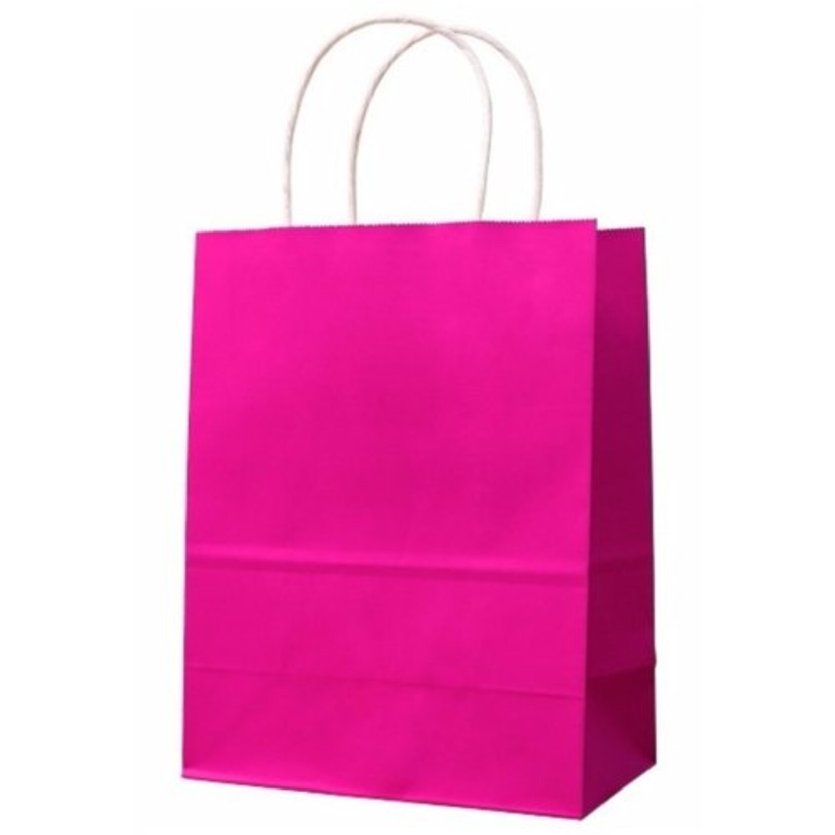 Kraft Favor Bags 6CT (6.5inx9in)