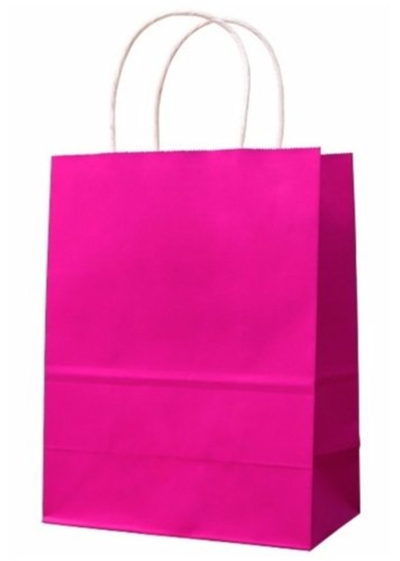 Kraft Favor Bags 6CT (6.5inx9in)