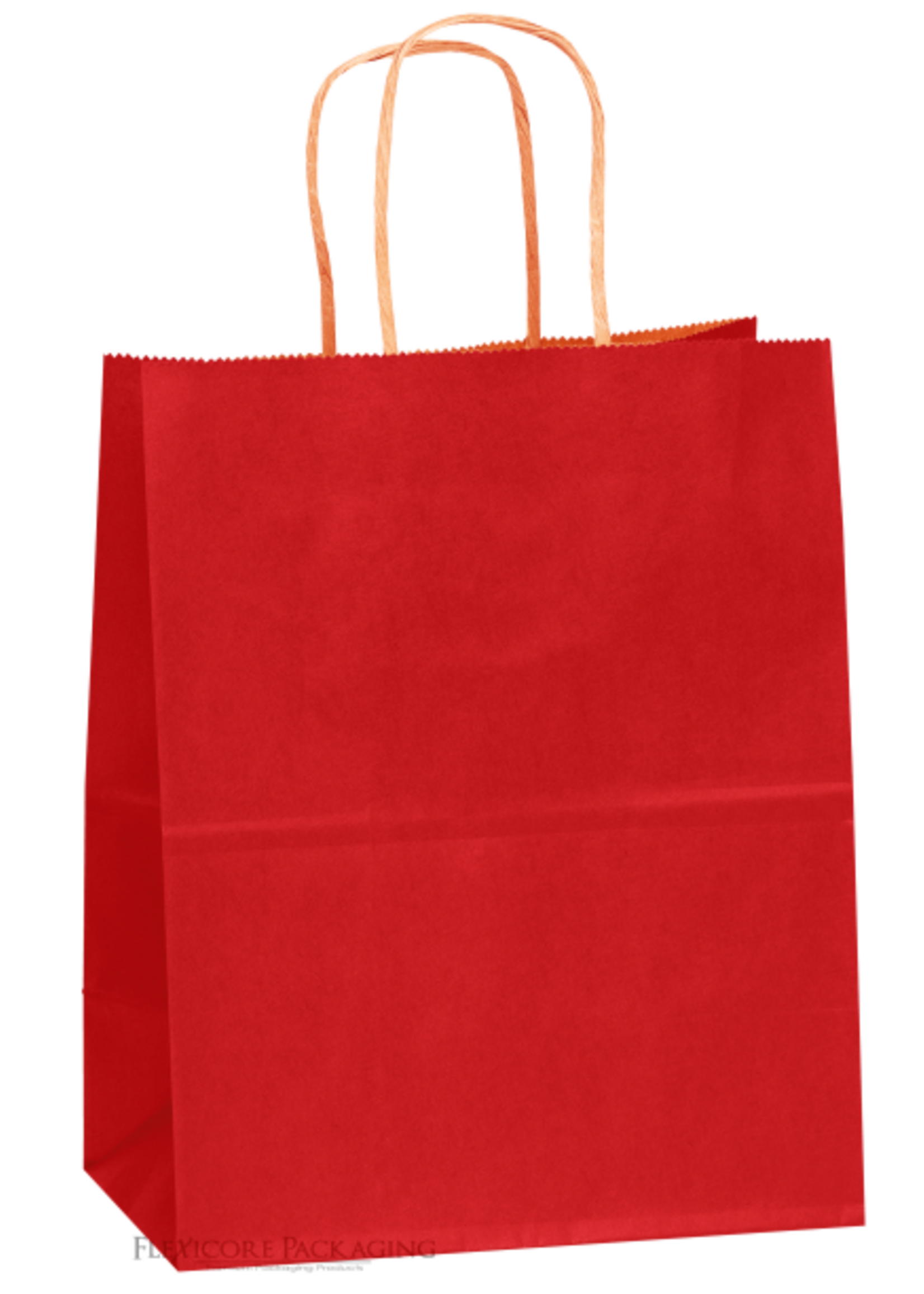 Kraft Favor Bags 6CT (6.5inx9in)