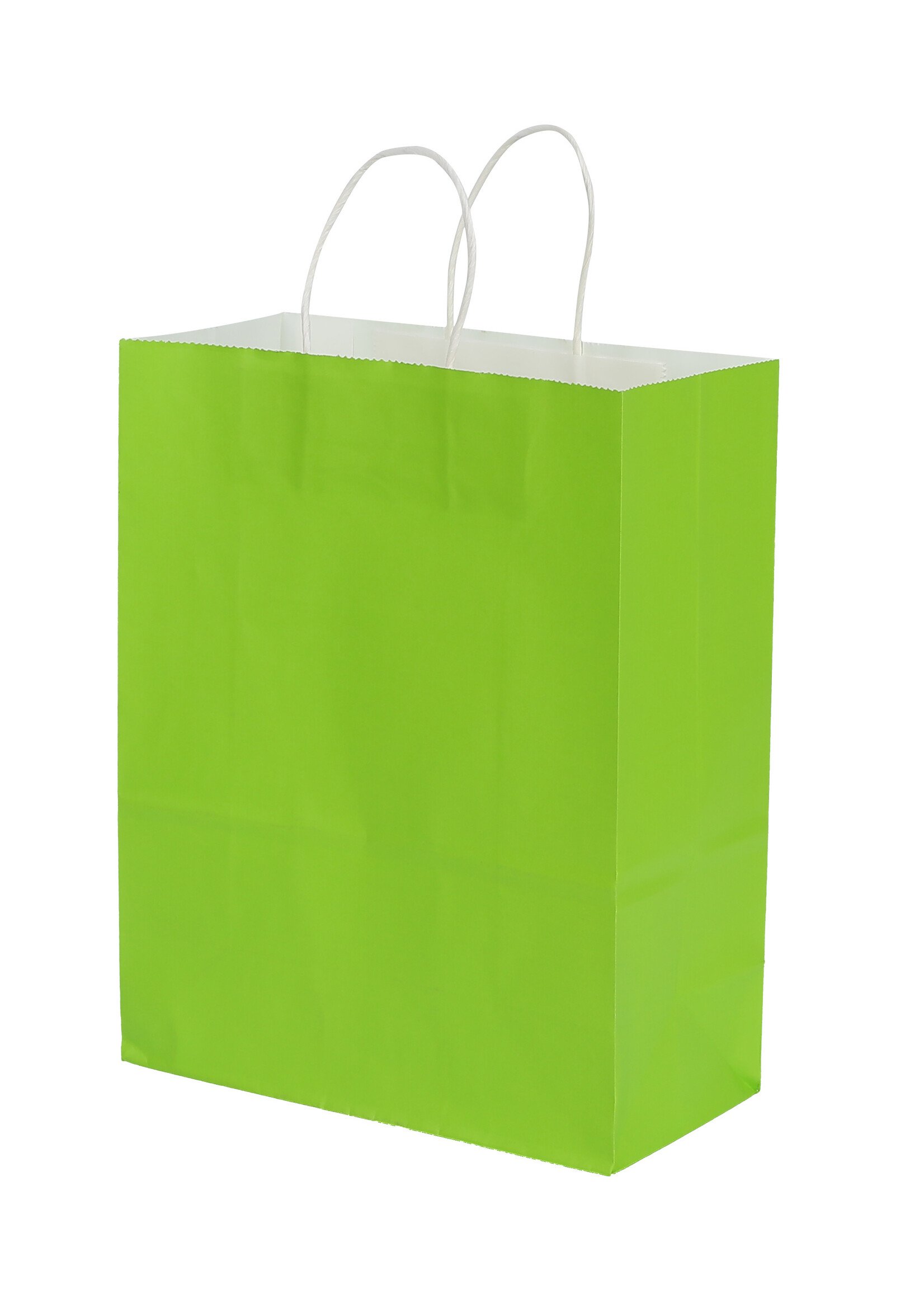 Kraft Favor Bags 6CT (6.5inx9in)