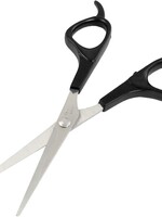 Stainless Steel Blade Scissors