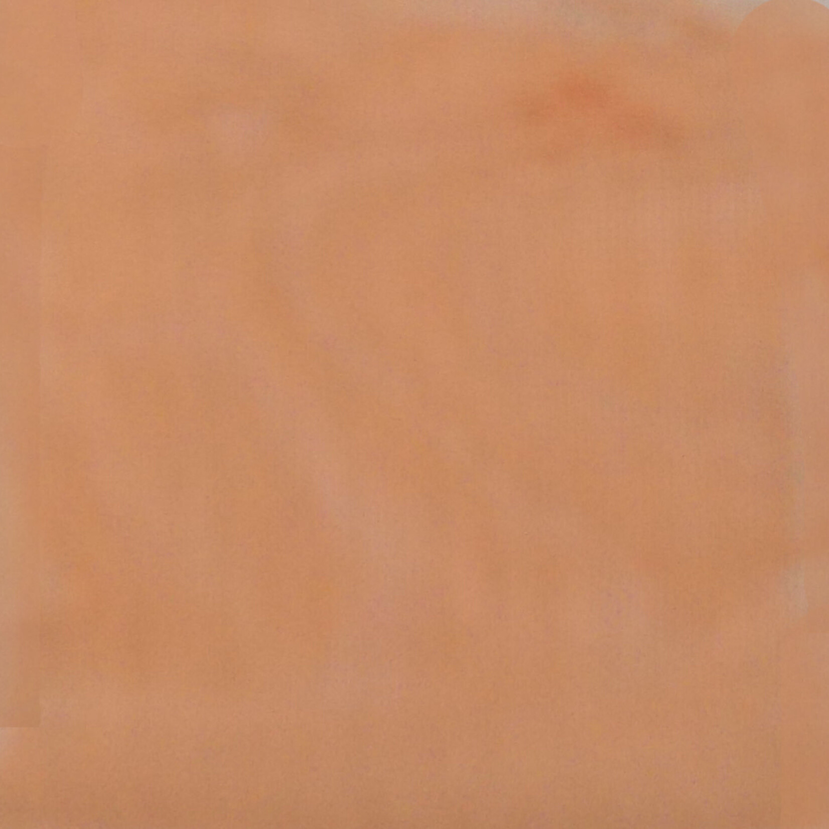 Candy Floss (Sale) 58 - 60 Inches Burnt Orange