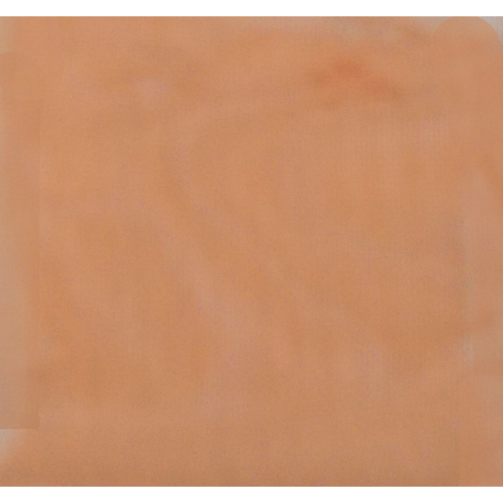 Candy Floss (Sale) 58 - 60 Inches Burnt Orange