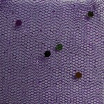 Glitter Mesh Non-stretch 58-60 Inches Multi - Purple #08