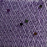Glitter Mesh Non-stretch 58-60 Inches Multi - Purple #08