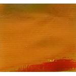 Tricot Lame 42 - 45 Inches Iridescent Orange