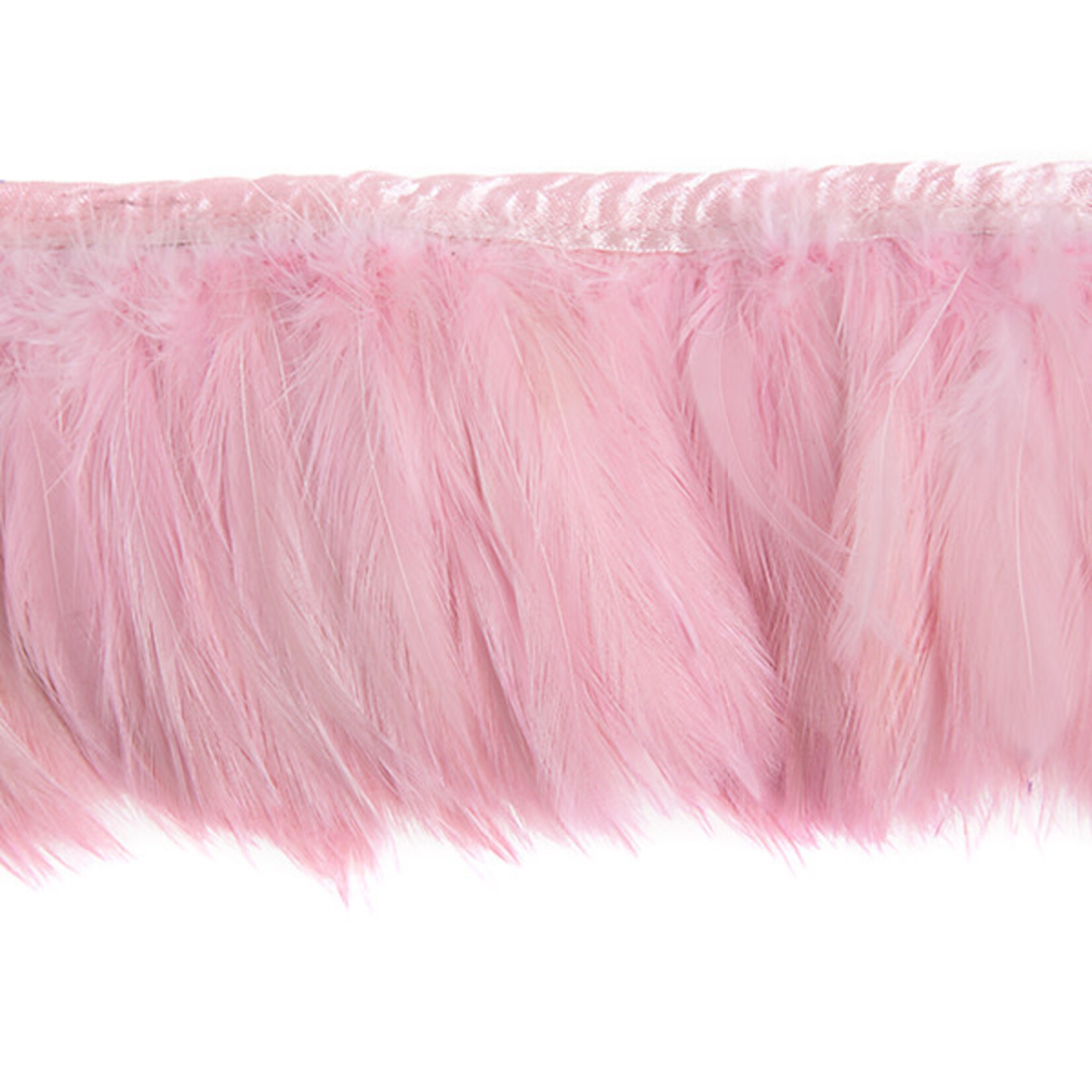 Coque Hackle Strung 4-6 Inch Premium