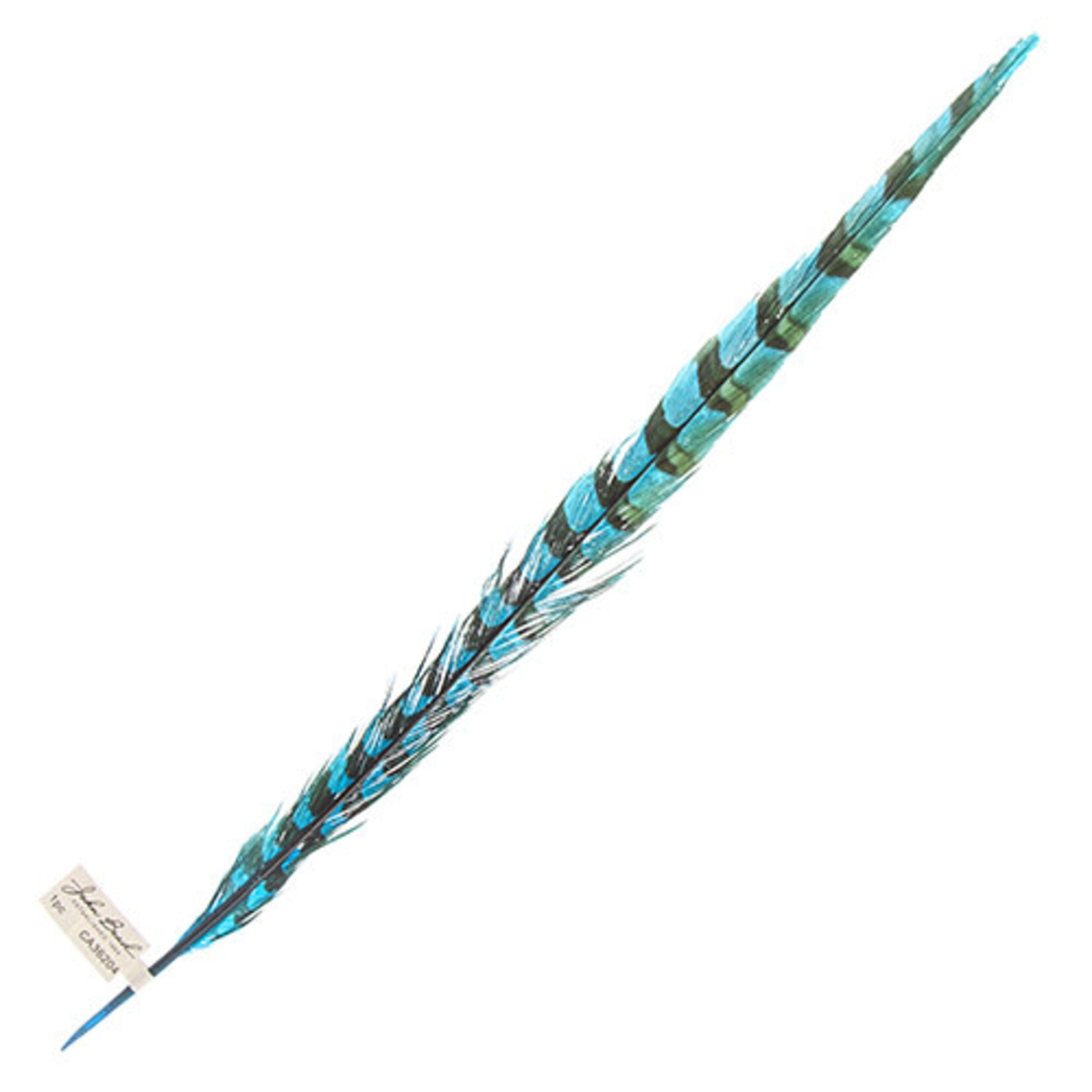 Reeves Pheasant Tail Turquoise 20 - 25 Inch