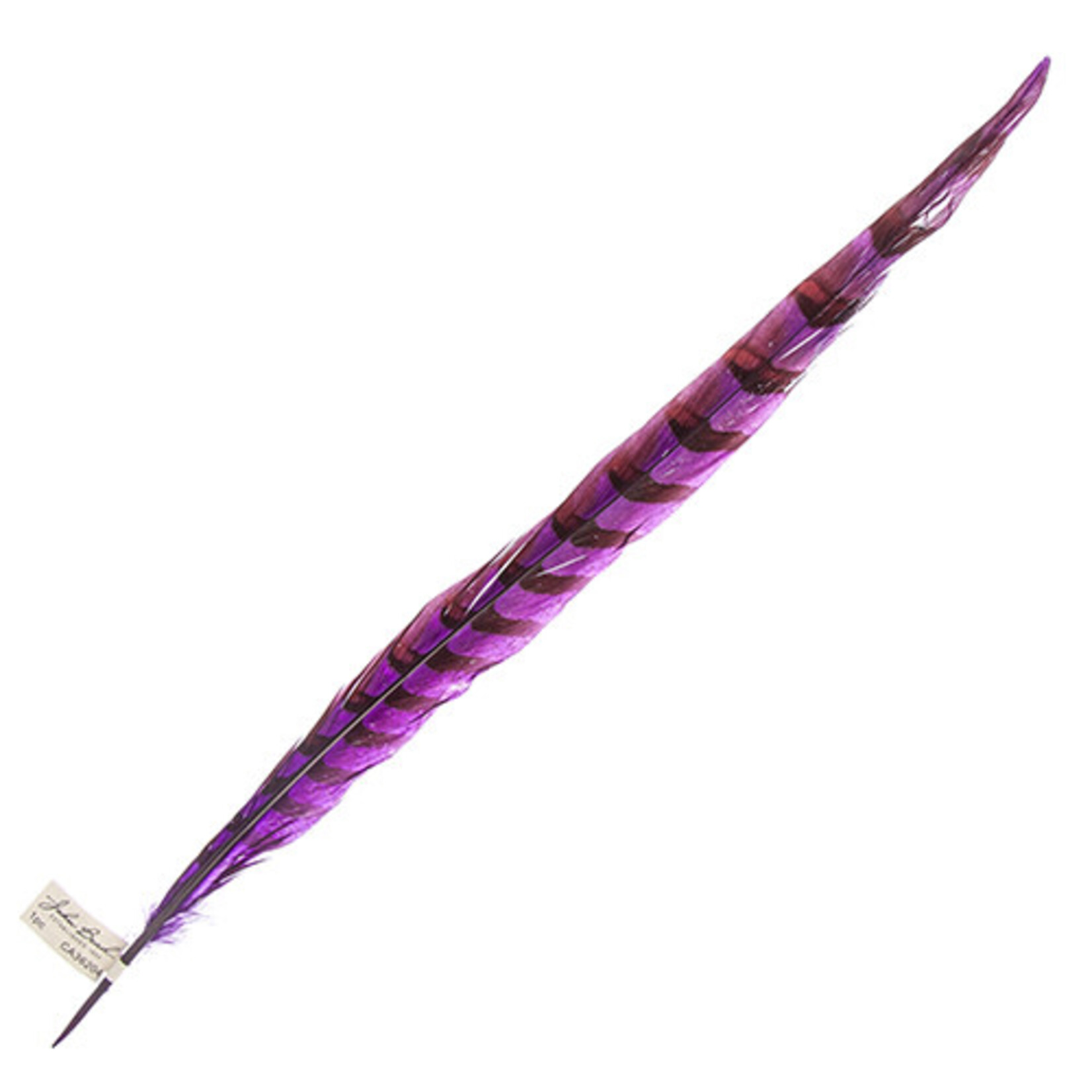 Reeves Pheasant Tail Purple 20 - 25 Inch