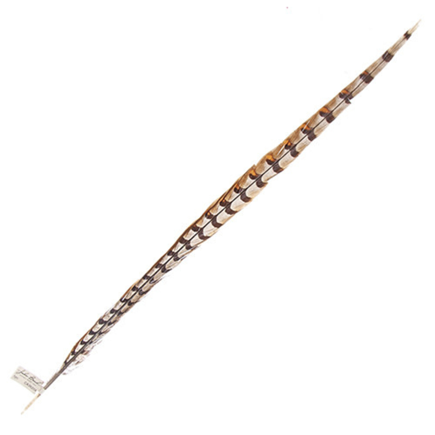 Reeves Pheasant Tail Natural 30 - 35 Inch