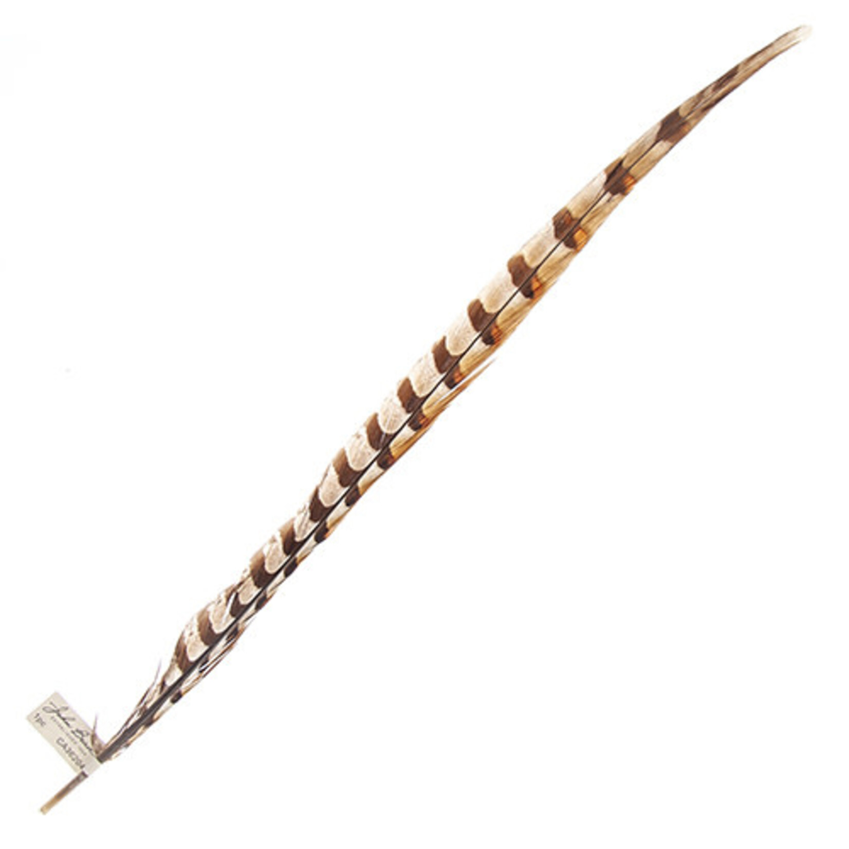 Reeves Pheasant Tail Natural 20 - 25 Inch