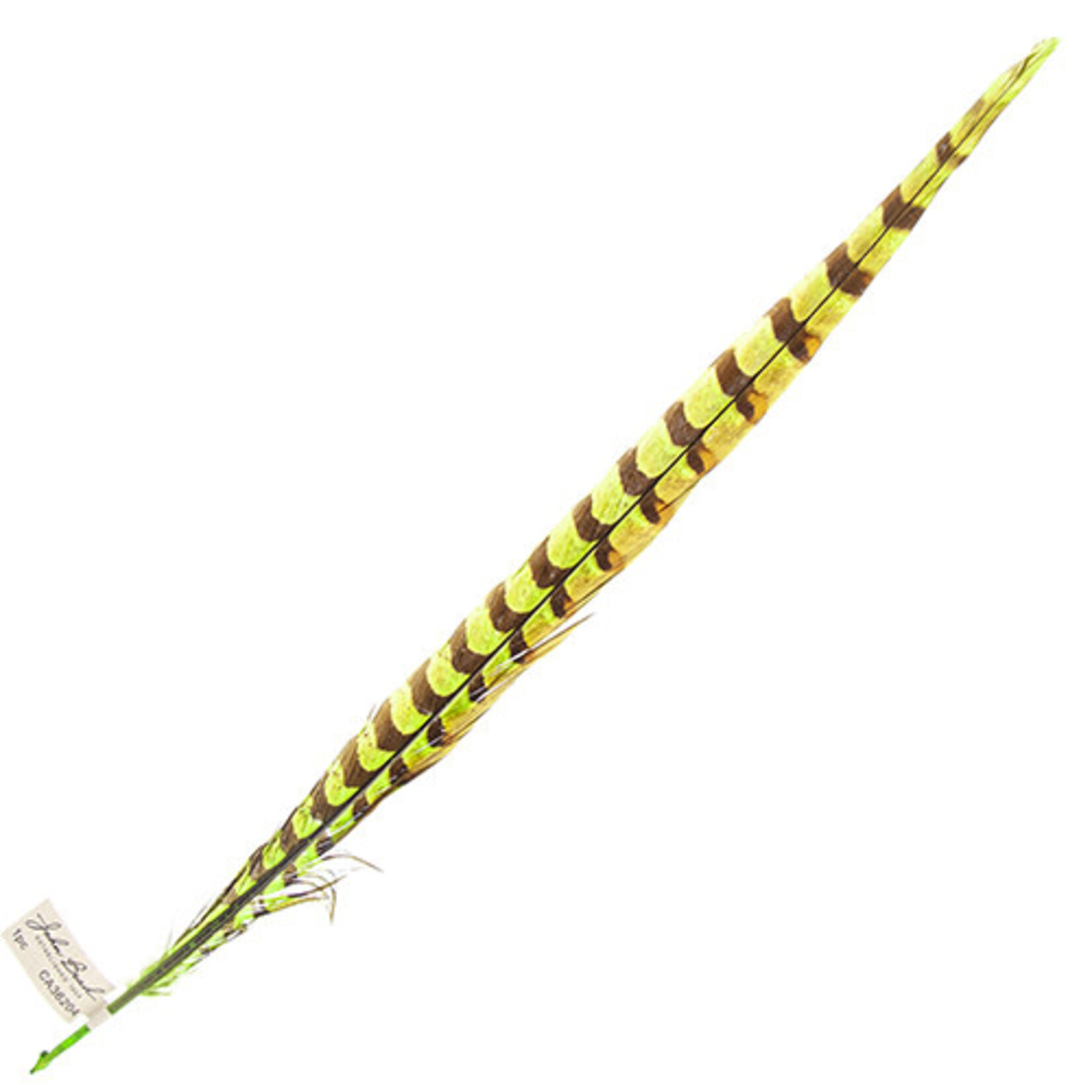 Reeves Pheasant Tail Lime Green 20 - 25 Inch