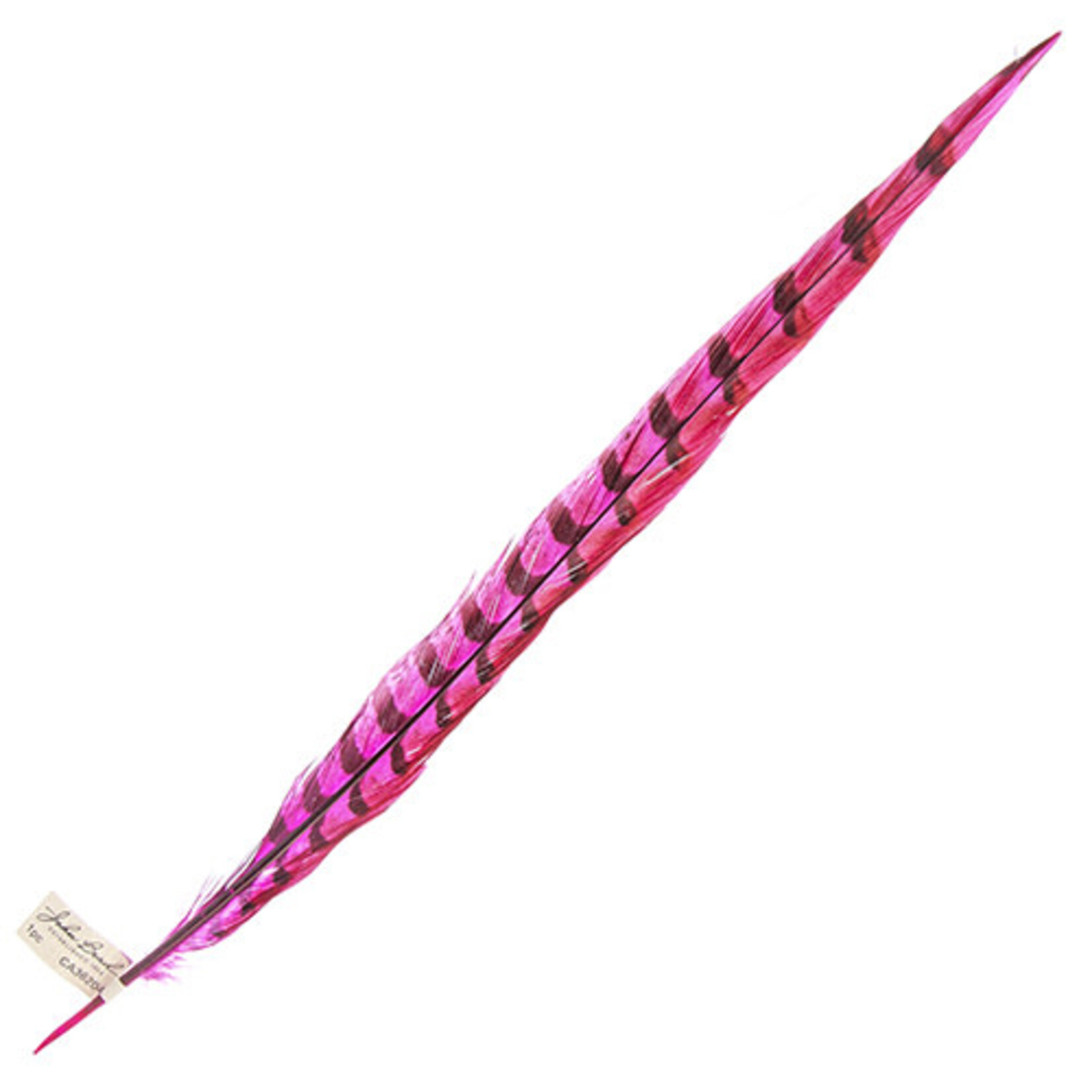 Reeves Pheasant Tail Hot Pink 20 - 25 Inch
