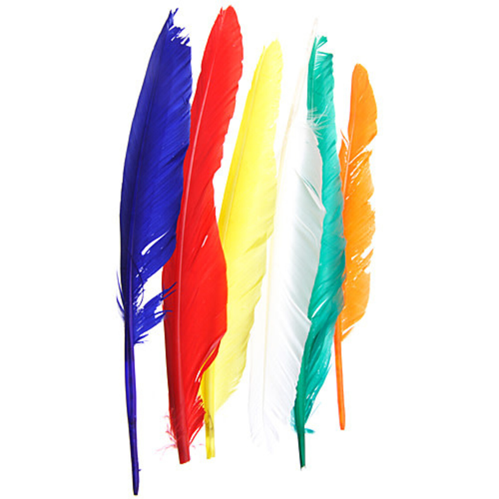 Duck Quill (12pcs) 7 Inch