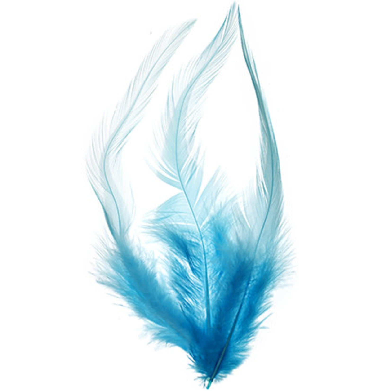 Saddle Hackles .25lbs