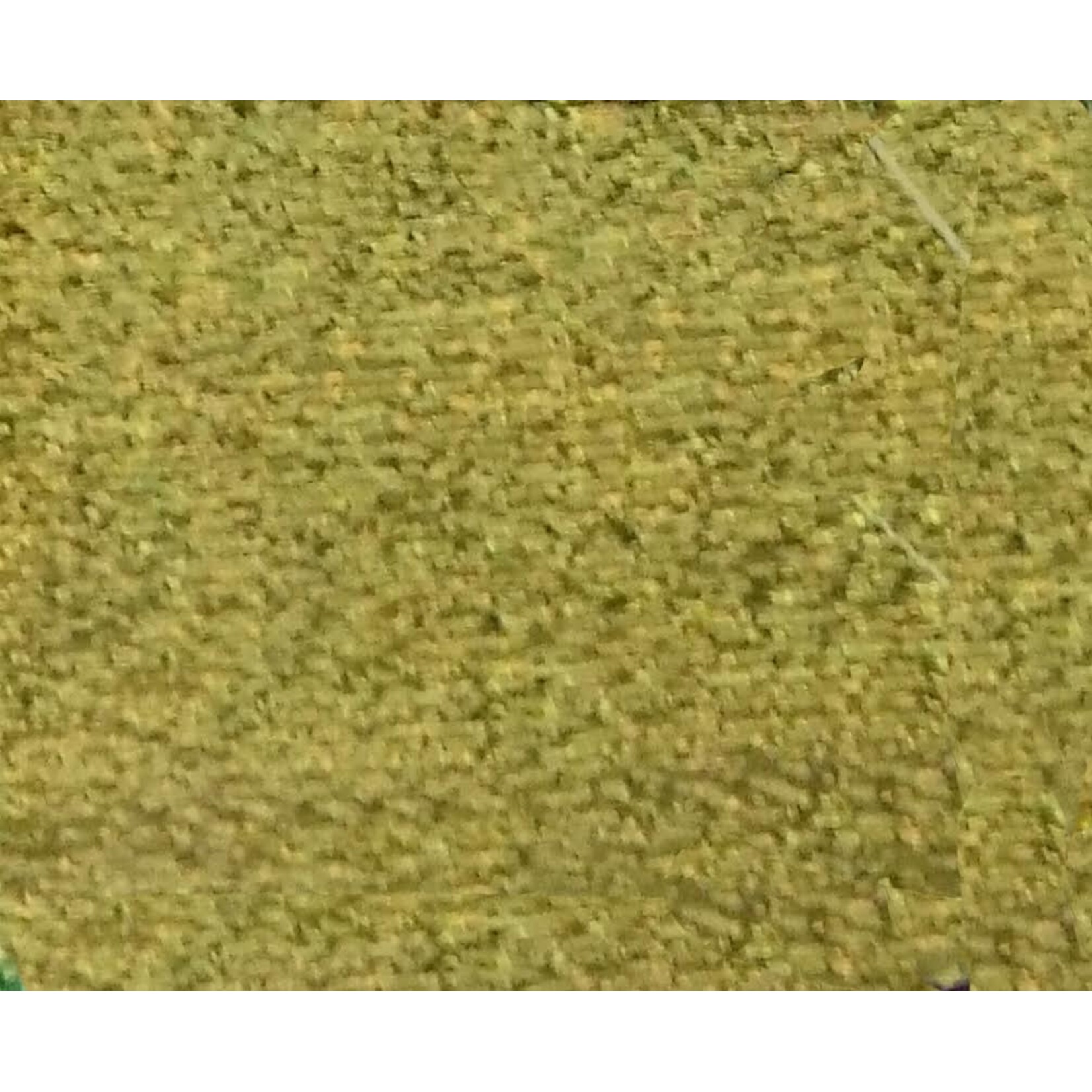 Flat Lame 44 - 45 Inches - Light Gold