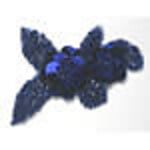 Flower (Rose) Braid (5 meters) Royal Blue