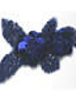 Flower (Rose) Braid (5 meters) Royal Blue