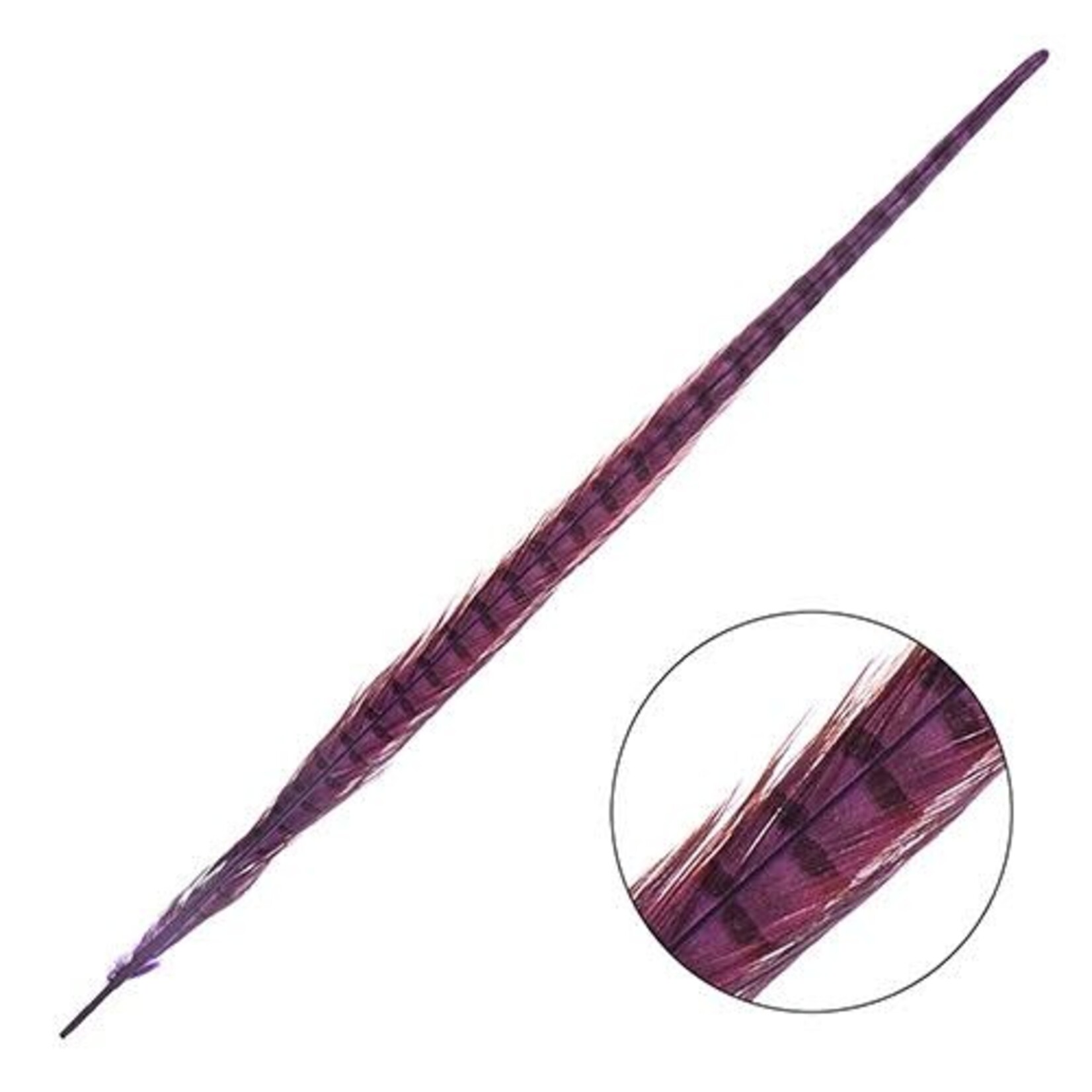 Ringneck Pheasant Tail Feather