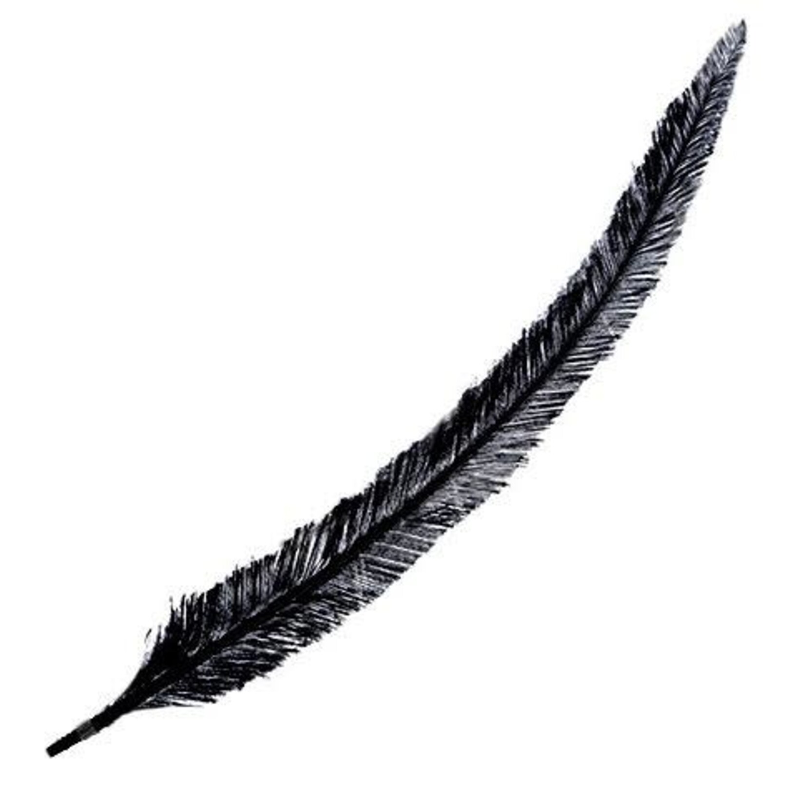 Nandu Feathers 20-25 Inch
