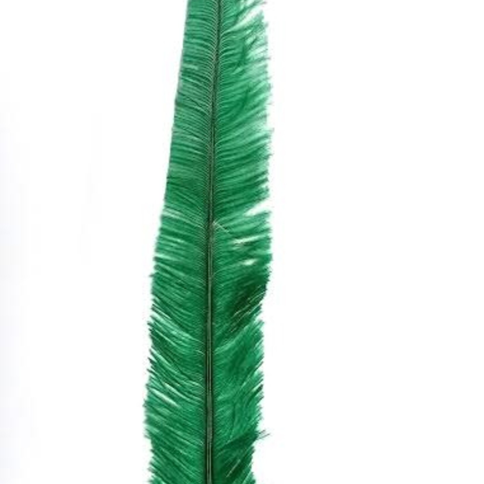 Nandu Feathers 20-25 Inch