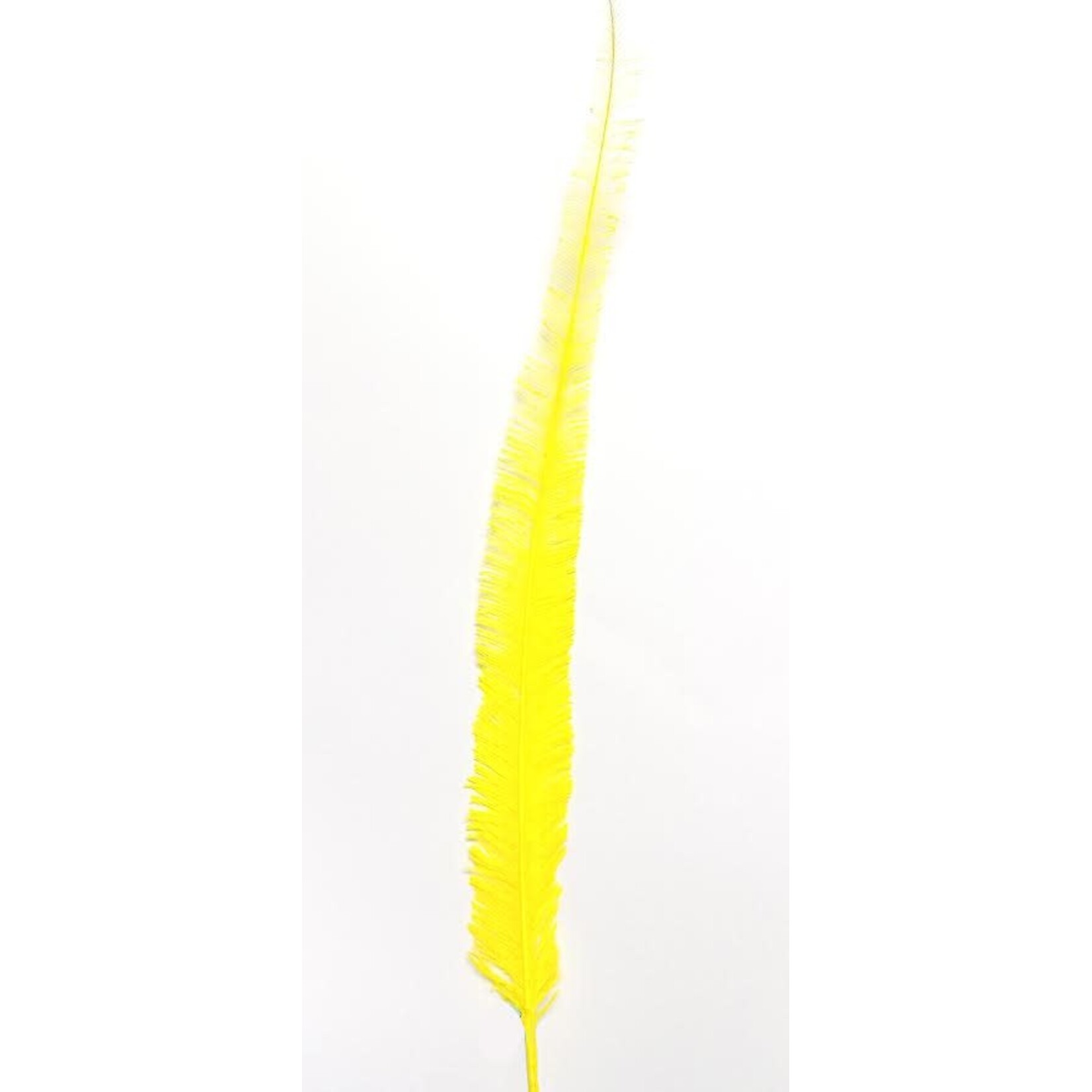 Nandu Feathers 20-25 Inch