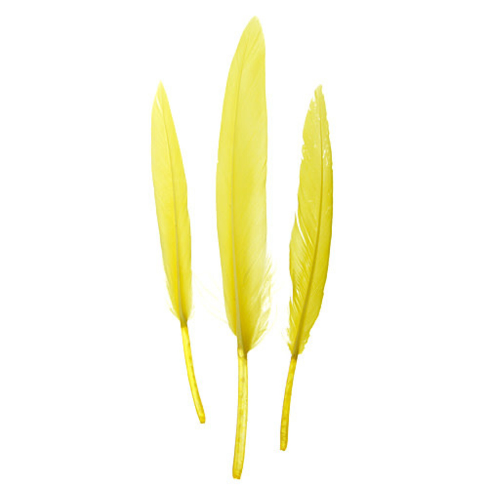 Duck Wing Quill 3-4 Inch (24pcs) Yellow