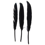 Duck Wing Quill 3-4 Inch (24pcs) Black