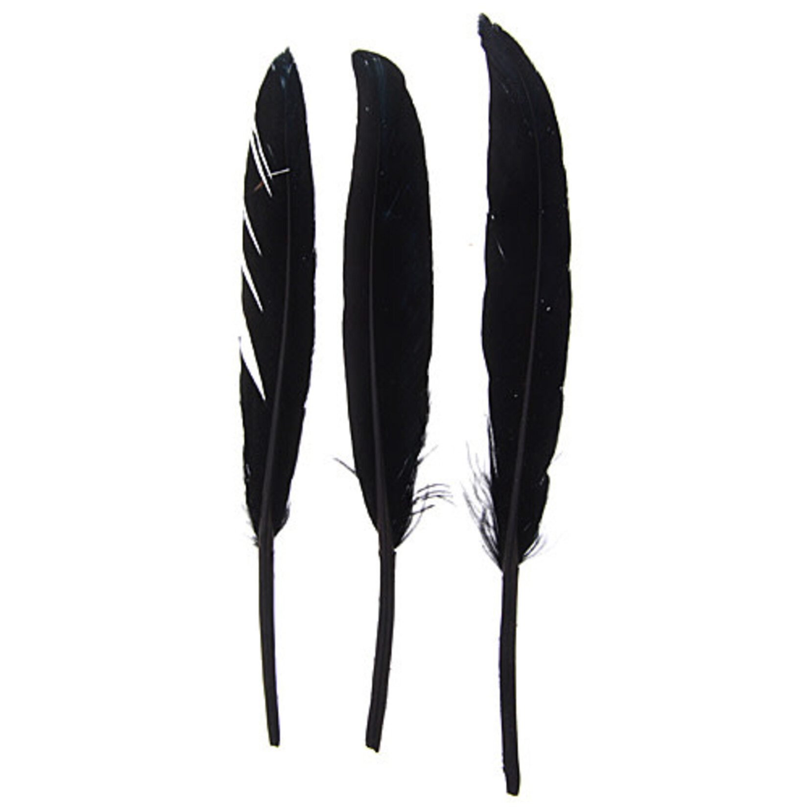 Duck Wing Quill 3-4 Inch (24pcs) Black