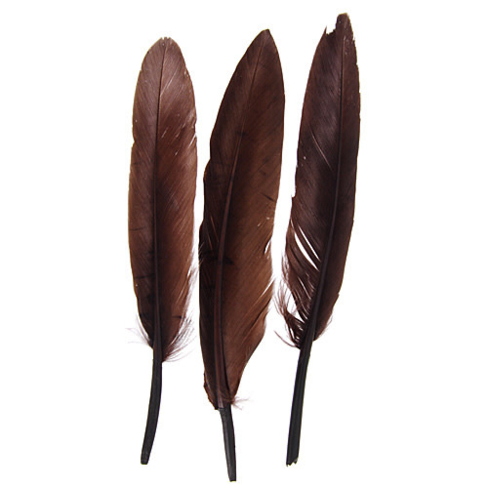 Duck Wing Quill 3-4 Inch (24pcs) Brown