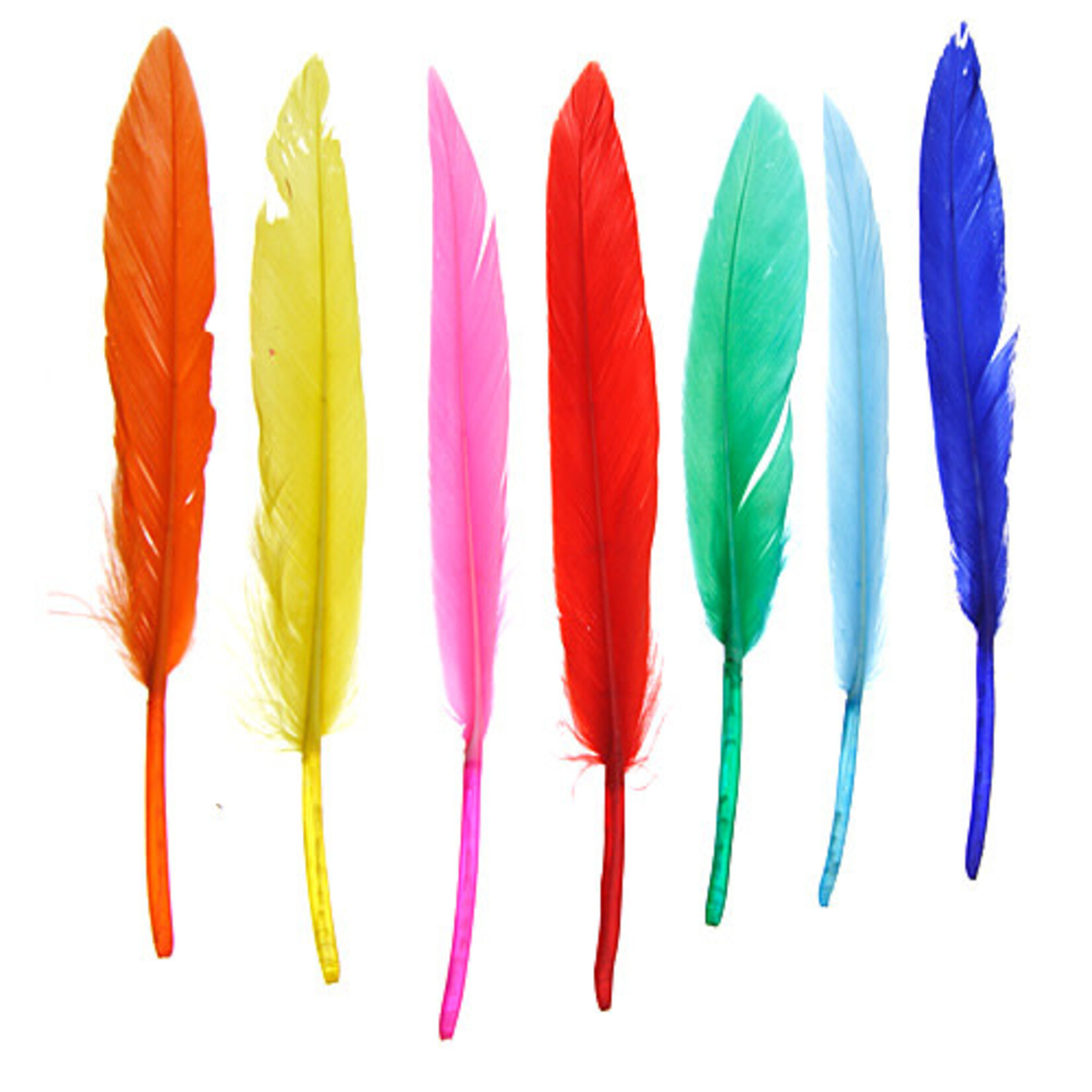 Duck Wing Quill 3-4 Inch (24pcs) Multi Mix