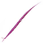 Lady Amherst Pheasant 35 - 40 Inch Side Hot Pink