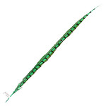 Lady Amherst Pheasant 35 - 40 Inch Side Jade Green