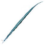 Lady Amherst Pheasant 40 - 45 Inch Side Turquoise