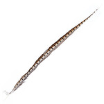 Lady Amherst Pheasant 40 - 45 Inch Side Natural