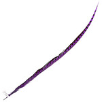 Lady Amherst Pheasant 40 - 45 Inch Side Purple