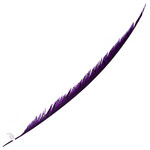 Lady Amherst Pheasant 35 - 40 Inch Center Purple