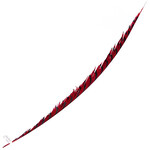 Lady Amherst Pheasant 35 - 40 Inch Center Red