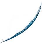 Lady Amherst Pheasant 30 - 35 Inch Center Turquoise