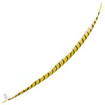Lady Amherst Pheasant 30 - 35 Inch Center Yellow