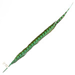 Lady Amherst Pheasant 25 -30 Inch Side Jade Green