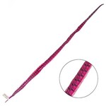 Ringneck Pheasant Tail Feather 35 - 40 Inch (1 pc) Hot Pink