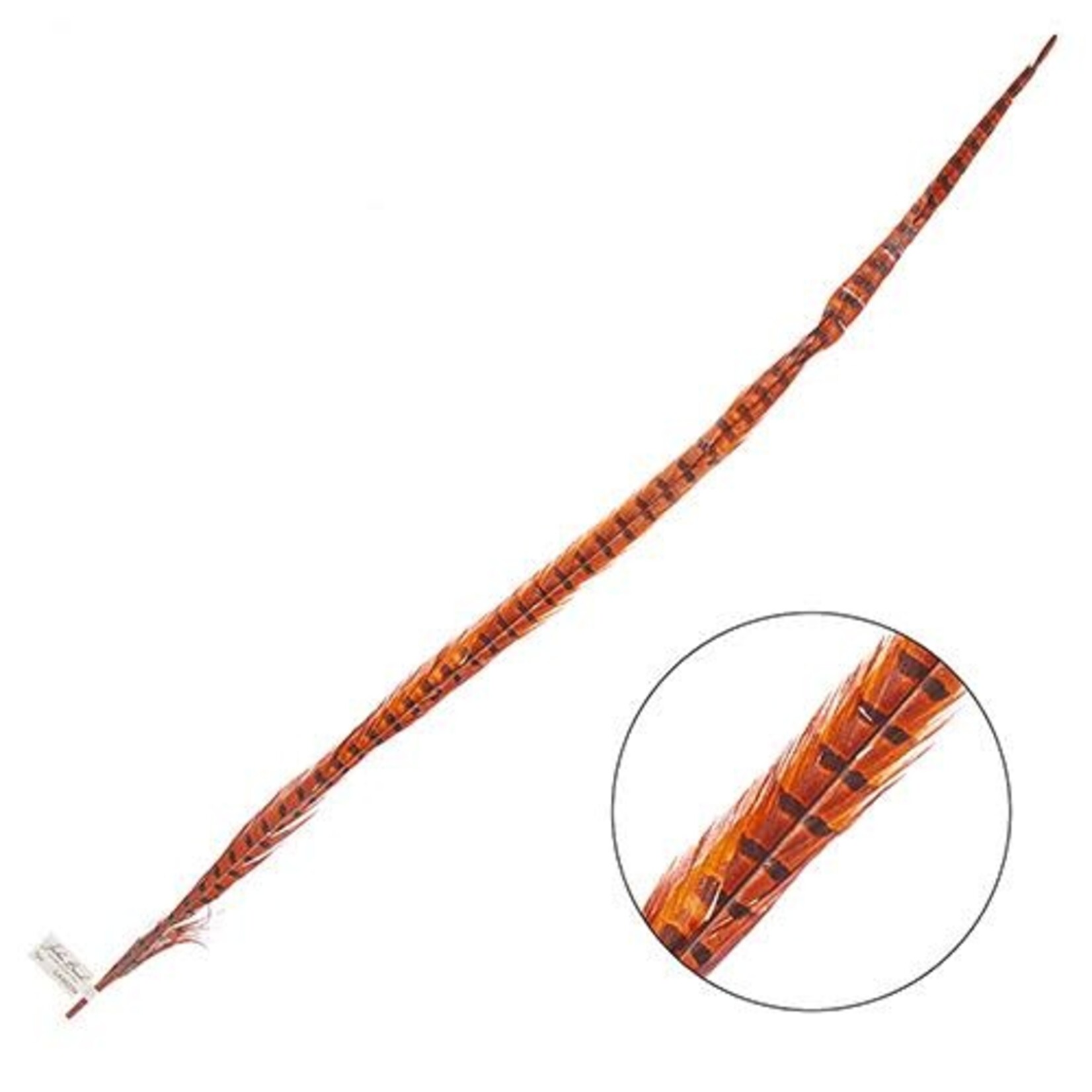 Ringneck Pheasant Tail Feather 35 - 40 Inch (1 pc) Orange