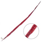 Ringneck Pheasant Tail Feather 35 - 40 Inch (1 pc) Red