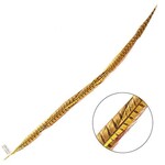 Ringneck Pheasant Tail Feather 35 - 40 Inch (1 pc) Yellow